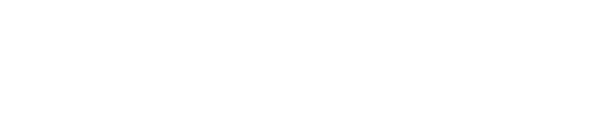 POLYNOIA LOGO LONG