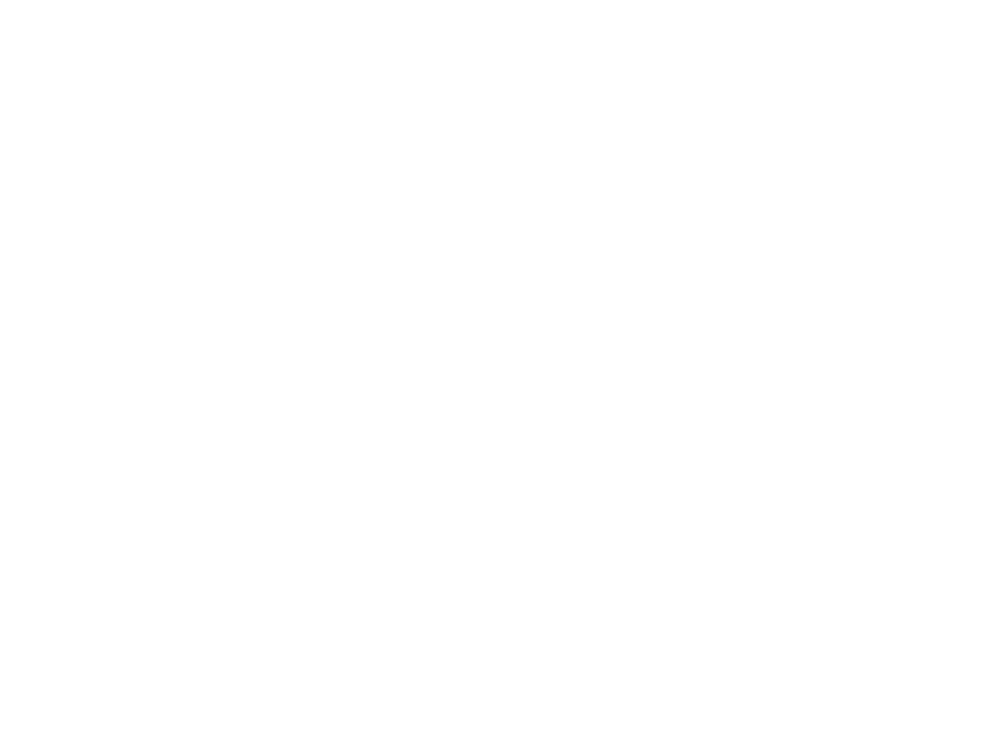 POLYNOIA LOGO STACKED